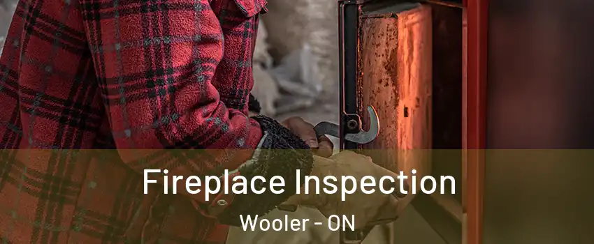  Fireplace Inspection Wooler - ON