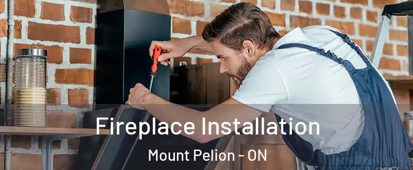  Fireplace Installation Mount Pelion - ON