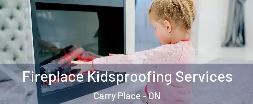  Fireplace Kidsproofing Services Carry Place - ON