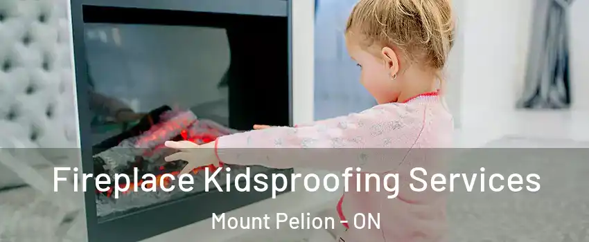  Fireplace Kidsproofing Services Mount Pelion - ON