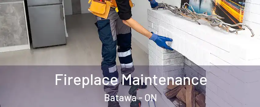 Fireplace Maintenance Batawa - ON
