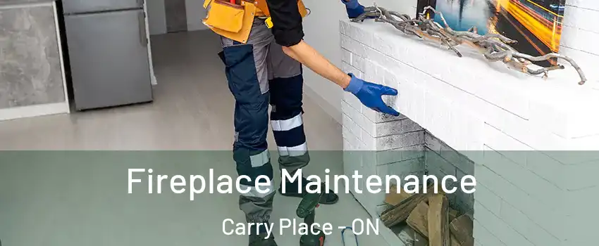  Fireplace Maintenance Carry Place - ON