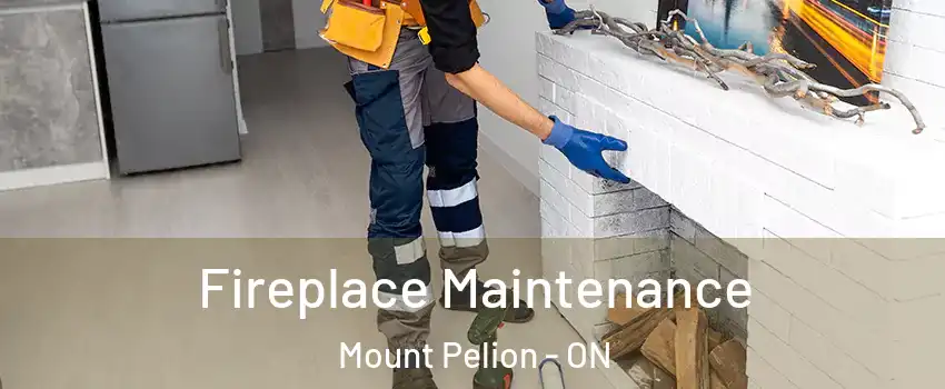  Fireplace Maintenance Mount Pelion - ON
