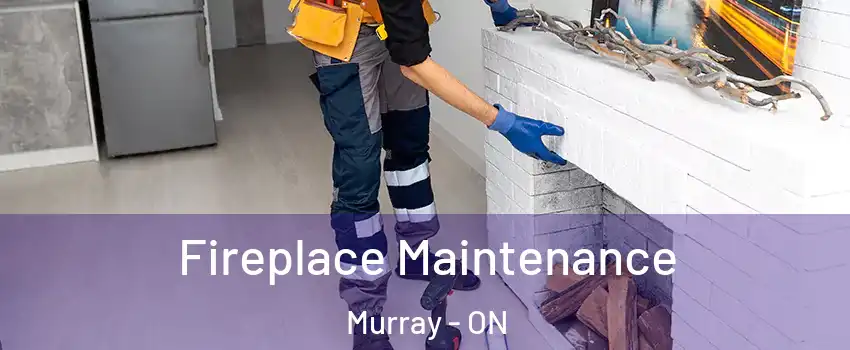  Fireplace Maintenance Murray - ON