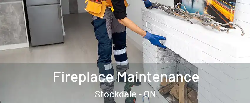  Fireplace Maintenance Stockdale - ON