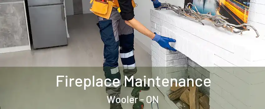  Fireplace Maintenance Wooler - ON