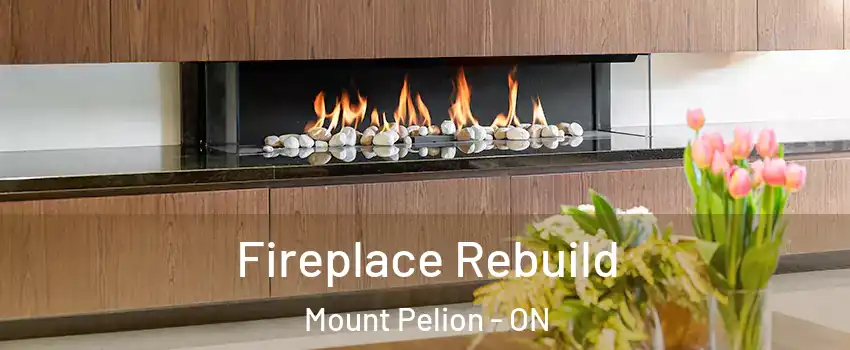  Fireplace Rebuild Mount Pelion - ON
