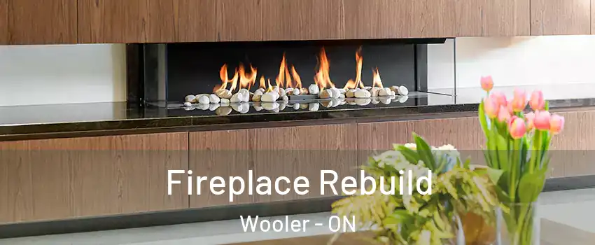  Fireplace Rebuild Wooler - ON