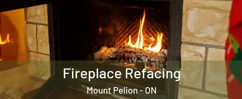  Fireplace Refacing Mount Pelion - ON