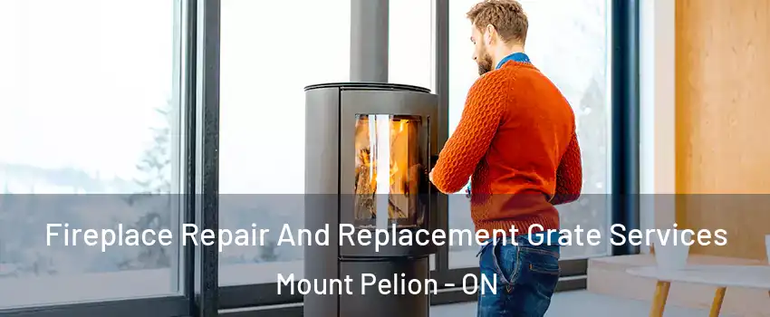  Fireplace Repair And Replacement Grate Services Mount Pelion - ON