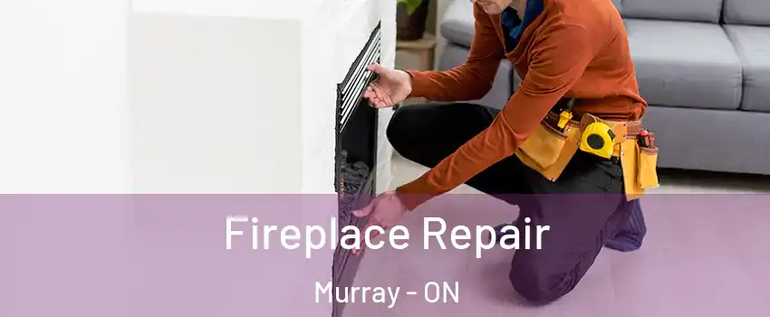  Fireplace Repair Murray - ON