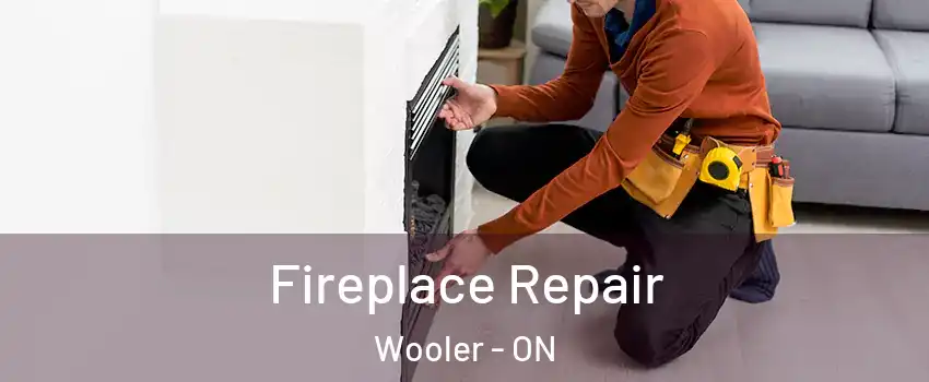  Fireplace Repair Wooler - ON