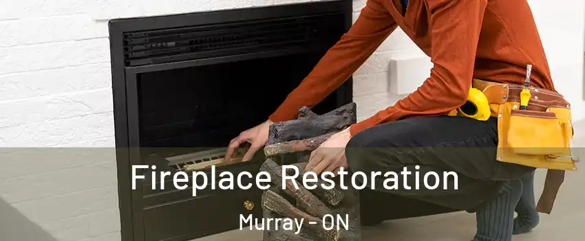  Fireplace Restoration Murray - ON