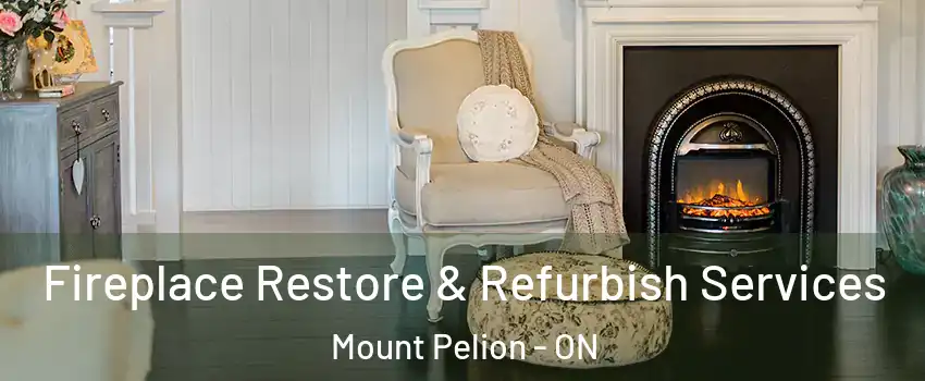  Fireplace Restore & Refurbish Services Mount Pelion - ON