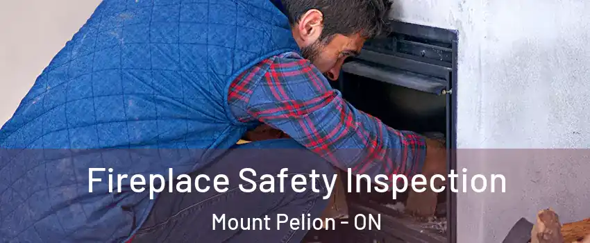  Fireplace Safety Inspection Mount Pelion - ON