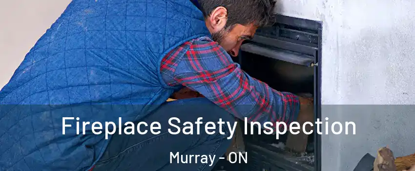  Fireplace Safety Inspection Murray - ON
