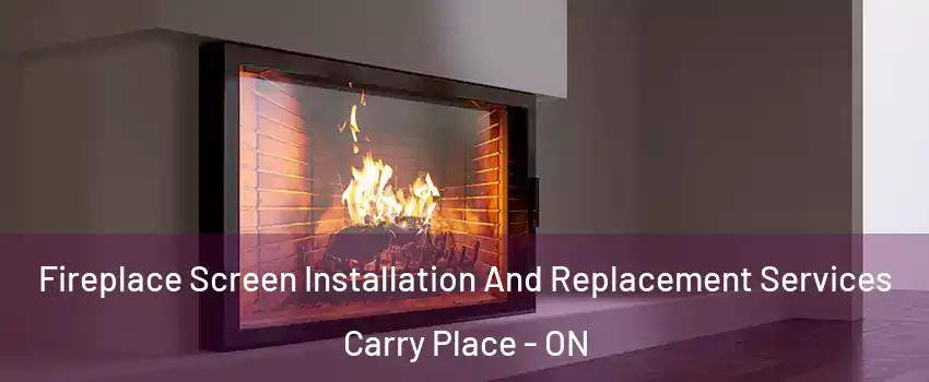  Fireplace Screen Installation And Replacement Services Carry Place - ON