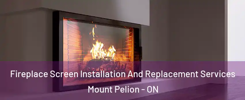  Fireplace Screen Installation And Replacement Services Mount Pelion - ON