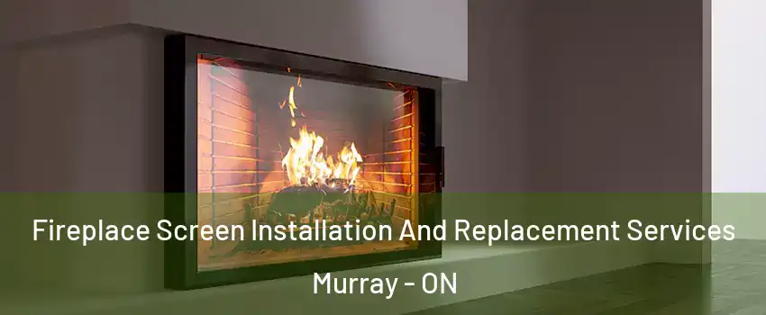  Fireplace Screen Installation And Replacement Services Murray - ON