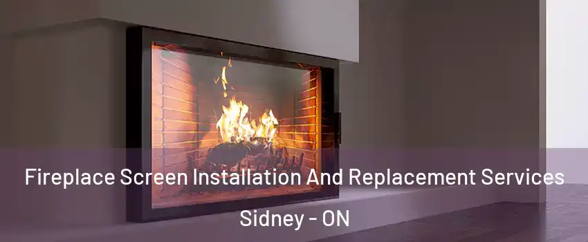  Fireplace Screen Installation And Replacement Services Sidney - ON