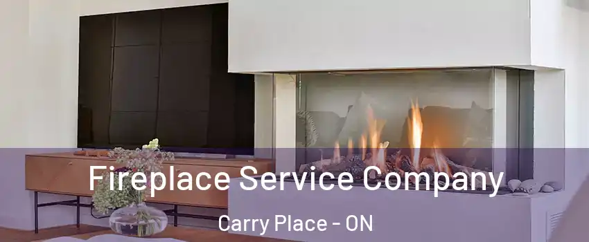  Fireplace Service Company Carry Place - ON
