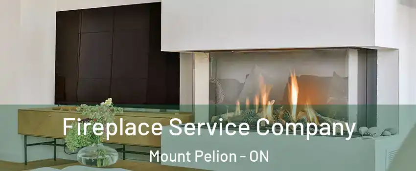  Fireplace Service Company Mount Pelion - ON