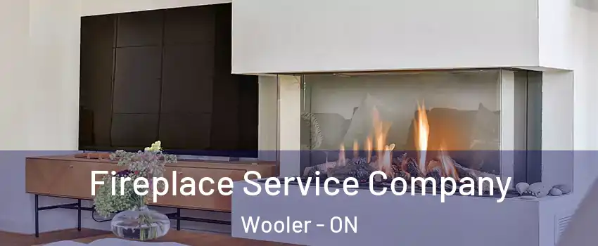  Fireplace Service Company Wooler - ON