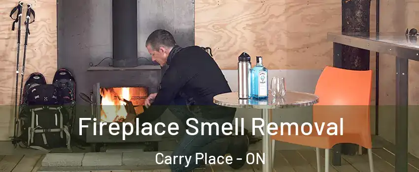  Fireplace Smell Removal Carry Place - ON