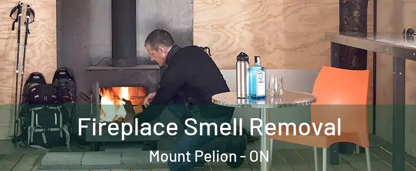  Fireplace Smell Removal Mount Pelion - ON