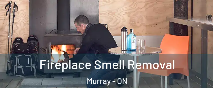  Fireplace Smell Removal Murray - ON
