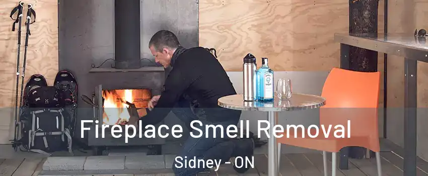  Fireplace Smell Removal Sidney - ON