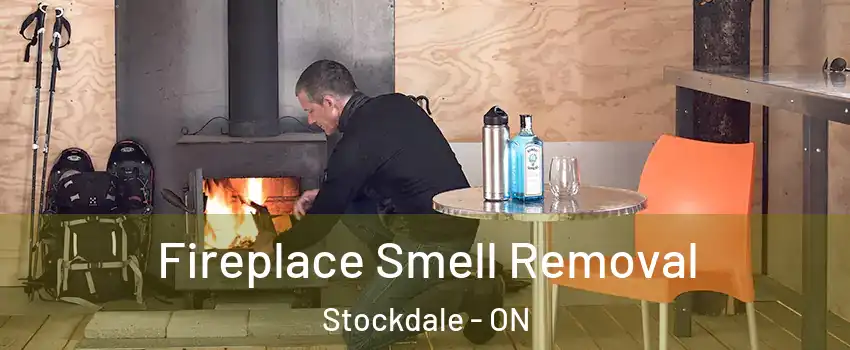  Fireplace Smell Removal Stockdale - ON