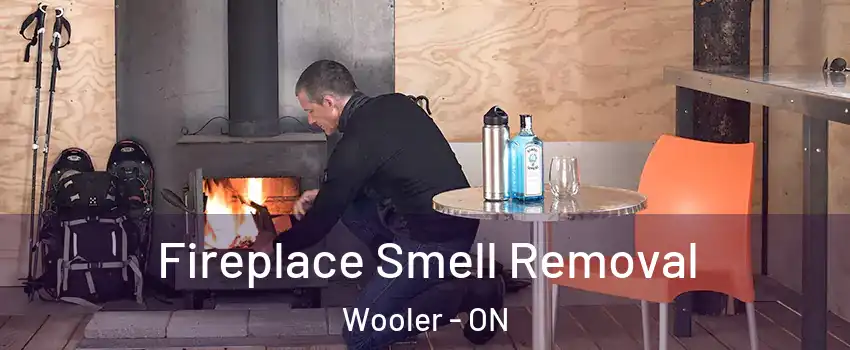  Fireplace Smell Removal Wooler - ON