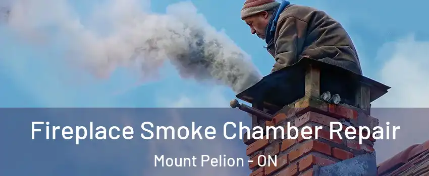  Fireplace Smoke Chamber Repair Mount Pelion - ON