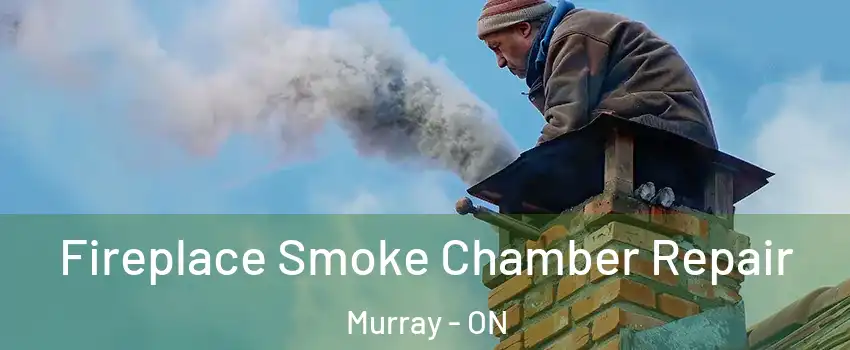  Fireplace Smoke Chamber Repair Murray - ON