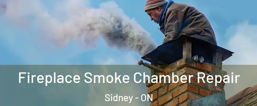  Fireplace Smoke Chamber Repair Sidney - ON