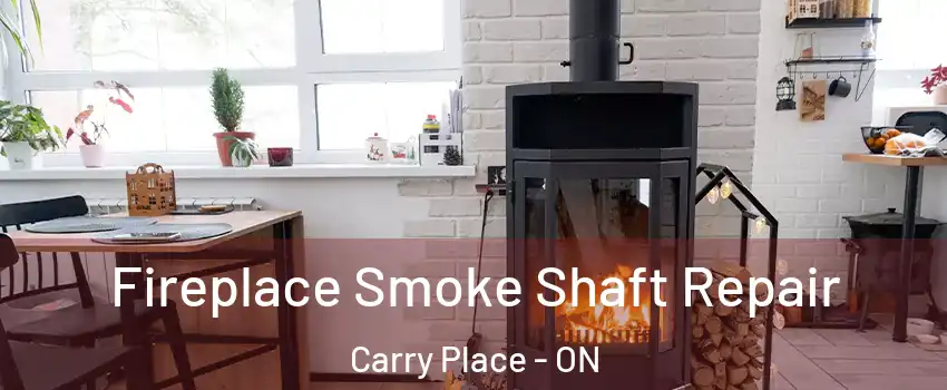  Fireplace Smoke Shaft Repair Carry Place - ON