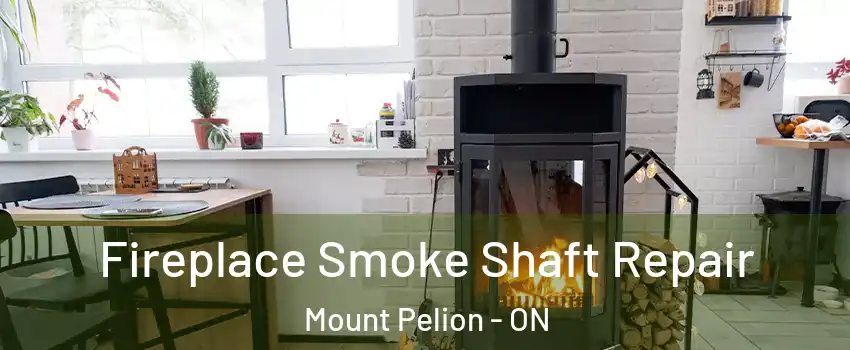  Fireplace Smoke Shaft Repair Mount Pelion - ON