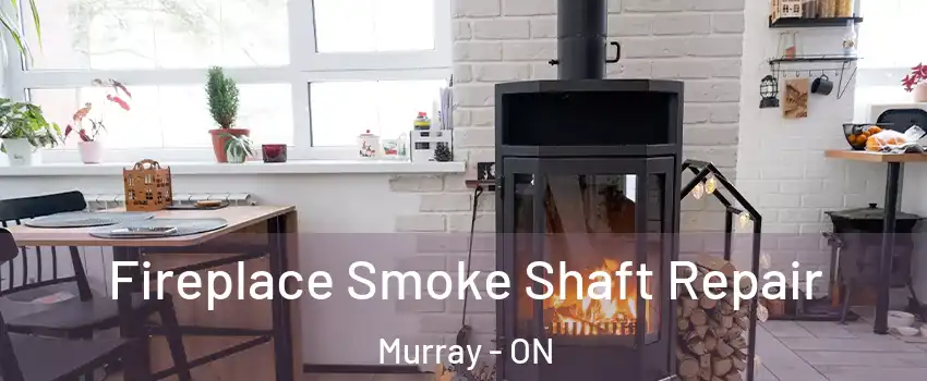  Fireplace Smoke Shaft Repair Murray - ON
