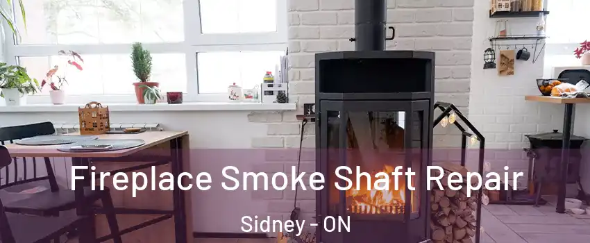  Fireplace Smoke Shaft Repair Sidney - ON