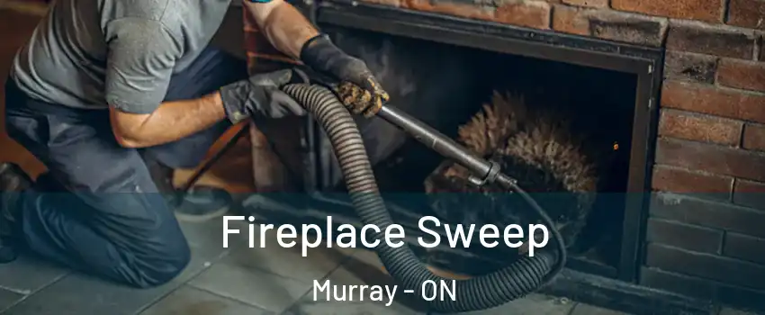 Fireplace Sweep Murray - ON