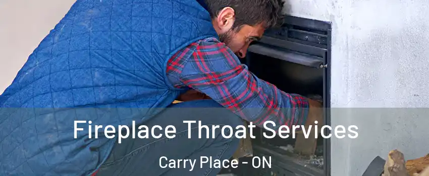  Fireplace Throat Services Carry Place - ON