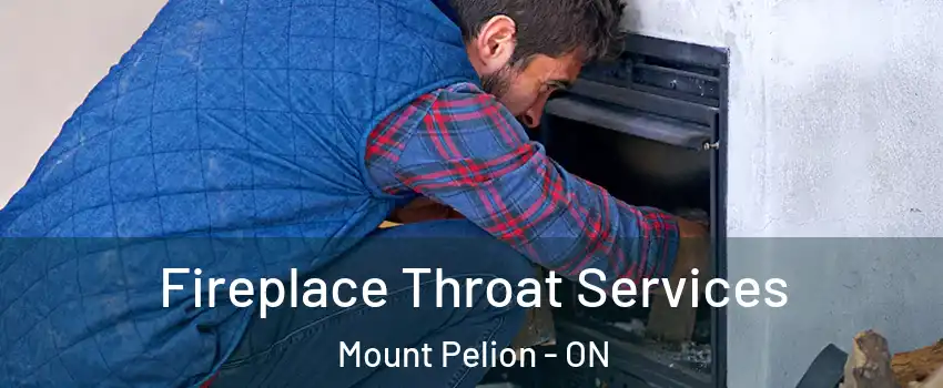  Fireplace Throat Services Mount Pelion - ON