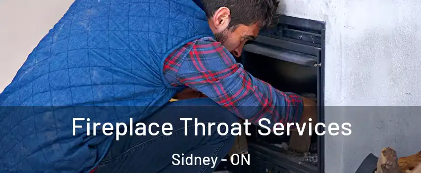  Fireplace Throat Services Sidney - ON