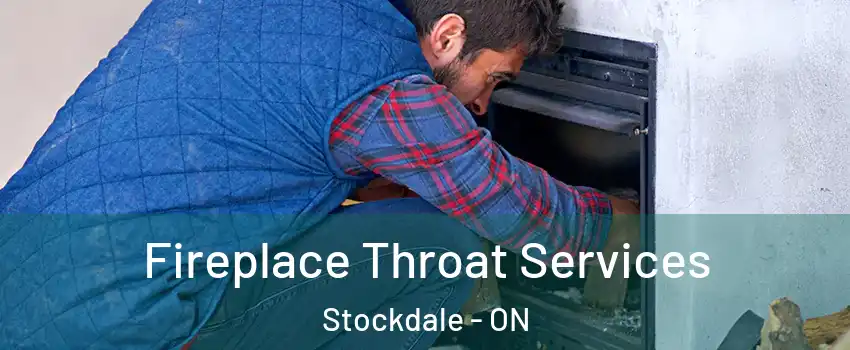  Fireplace Throat Services Stockdale - ON