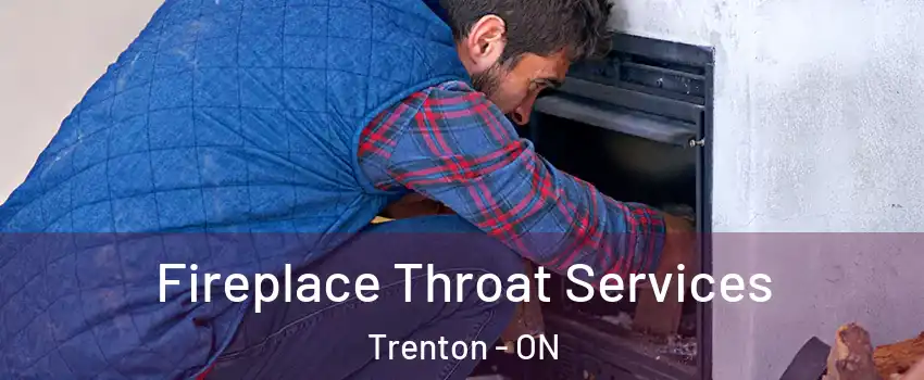  Fireplace Throat Services Trenton - ON