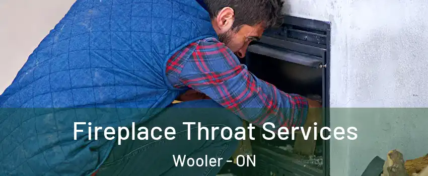  Fireplace Throat Services Wooler - ON