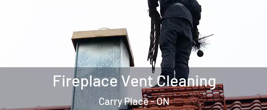 Fireplace Vent Cleaning Carry Place - ON