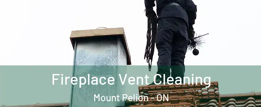  Fireplace Vent Cleaning Mount Pelion - ON