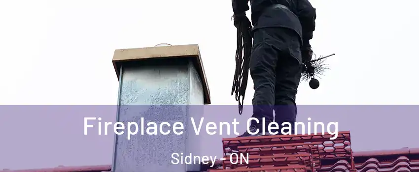  Fireplace Vent Cleaning Sidney - ON